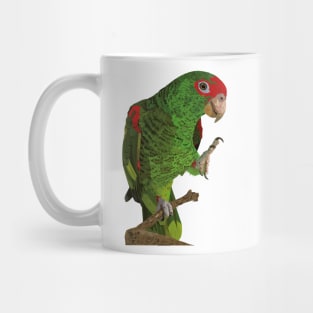 Red-spectacled Amazon Mug